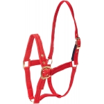 Adjustable Safety Release Padded Headcollar